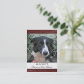 Carte De Visite Pet Memorial Card Maroon Photo - Poème contenté (Debout devant)