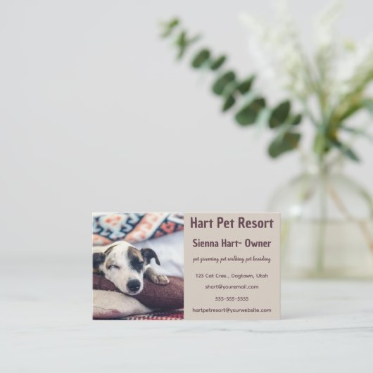 Carte De Visite Pet Resort modifiable (Debout devant)
