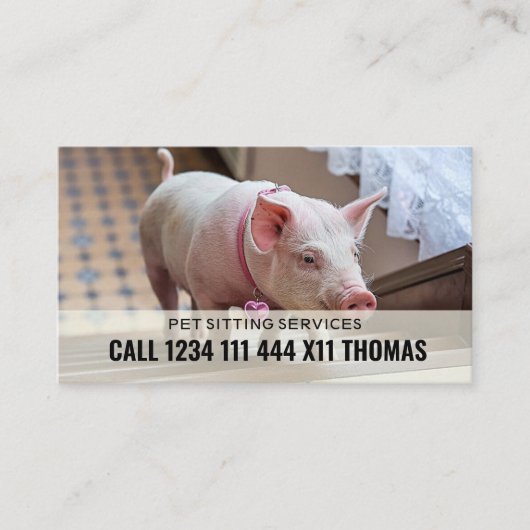 Carte De Visite Pet Sitter Service (Devant)