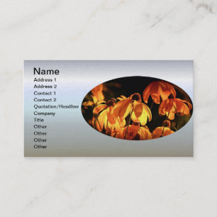 Carte De Visite Pétales orange sur la fleur de marguerite