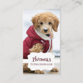 Carte De Visite Petfluencer à quatre photos (Devant)