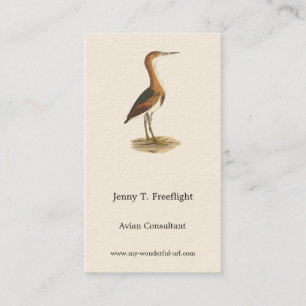Carte De Visite Petit Bittern (Ixobrychus exilis) Oiseaux de New Y