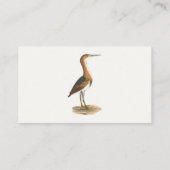 Carte De Visite Petit Bittern (Ixobrychus exilis) Oiseaux de New Y (Dos)