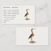 Carte De Visite Petit Bittern (Ixobrychus exilis) Oiseaux de New Y (Devant / Derrière)