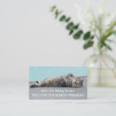 Carte De Visite Petit chat animal assis animal assis (Debout devant)