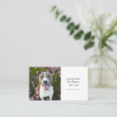 Carte De Visite Petit chien animal de compagnie assis et services  (Debout devant)