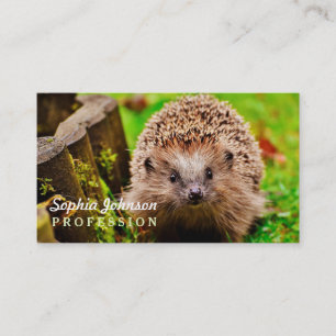 Carte De Visite Petit hérisson mignon dans la forêt