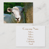 CARTE DE VISITE PETIT MOQUETTE (Devant / Derrière)