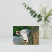 CARTE DE VISITE PETIT MOQUETTE (Debout devant)