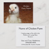 Carte De Visite Petit poussin jaune - ferme de poulet (Devant / Derrière)