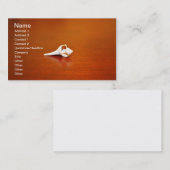 Carte De Visite Petite coque (Devant / Derrière)