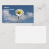 Carte De Visite Petite marguerite (Devant / Derrière)