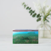 Carte De Visite Phantastes : Les Signets de chalet de l'île (Debout devant)