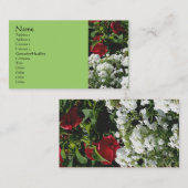 Carte De Visite Phlox Hibiscus Fleur Jardin Nature (Devant / Derrière)