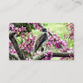 Carte De Visite Phoebe dans un arbre à Redbud (Dos)
