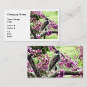 Carte De Visite Phoebe dans un arbre à Redbud (Devant / Derrière)