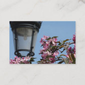 Carte de visite photo (Dos)