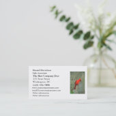 Carte De Visite Photo cardinale d'oiseau (Debout devant)