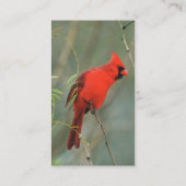 Carte De Visite Photo cardinale d'oiseau (Dos)