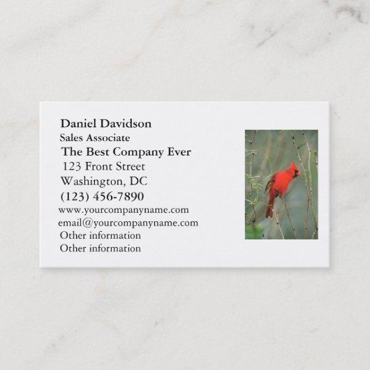 Carte De Visite Photo cardinale d'oiseau (Devant)
