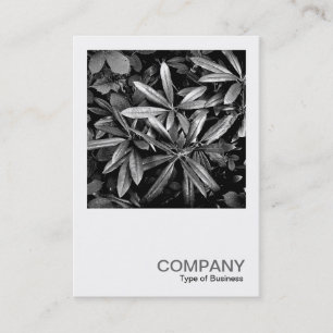 Carte De Visite Photo carré 0132 - Rhododendron Feuille