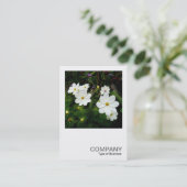 Carte De Visite Photo carré 0159 - Fleurs de cosmos blancs (Debout devant)