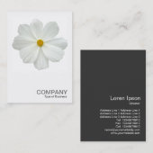 Carte De Visite Photo carré 0161 - Fleur de cosmos blanc (Devant / Derrière)