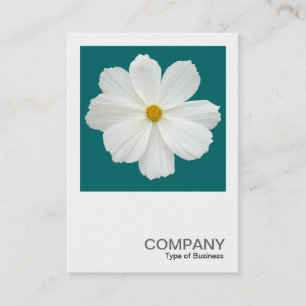 Carte De Visite Photo carré 0165 - Fleur de Cosmos sur vert Turquo