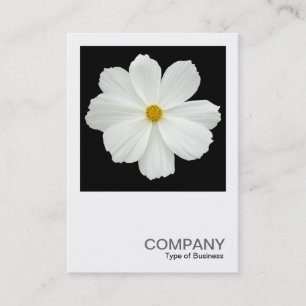 Carte De Visite Photo carré 0167 - Fleur de Cosmos en noir
