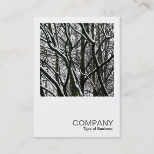 Carte De Visite Photo carré 0176 - Branches avec neige