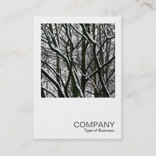 Carte De Visite Photo carré 0176 - Branches avec neige (Devant)