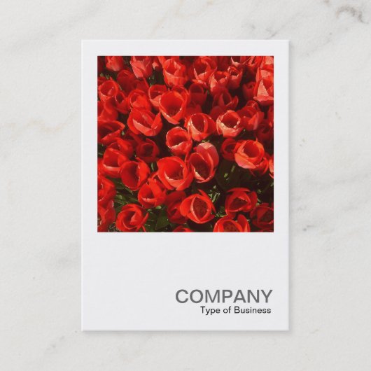 Carte De Visite Photo carré 01 - Tulipes (Devant)