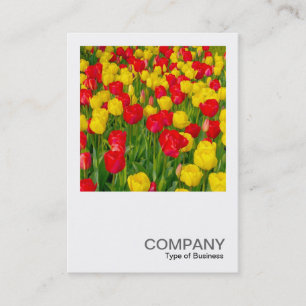 Carte De Visite Photo carré 0220 - Tulips
