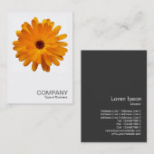Carte De Visite Photo carré 0233 - Orange Marigold (Devant / Derrière)