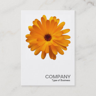 Carte De Visite Photo carré 0233 - Orange Marigold