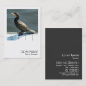 Carte De Visite Photo carré 0250 - Cormorant (Devant / Derrière)