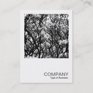 Carte De Visite Photo carré 026 - Magnolia Blossom