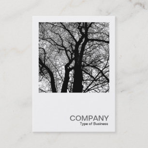 Carte De Visite Photo carré 0277 - Arbre à contraste élevé