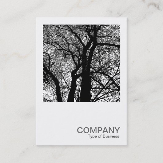 Carte De Visite Photo carré 0277 - Arbre à contraste élevé (Devant)