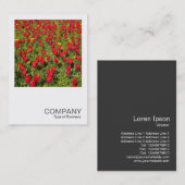 Carte De Visite Photo carré 02 - Tulipes (Devant / Derrière)