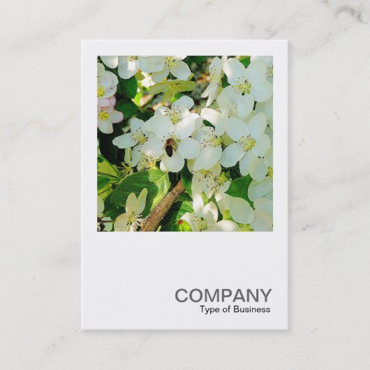 Carte De Visite Photo carré 0323 - Faire du miel (Devant)