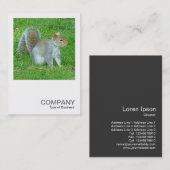 Carte De Visite Photo carré 0325 - Écureuil (Devant / Derrière)