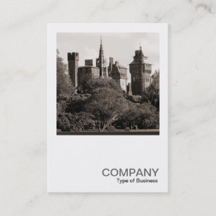 Carte De Visite Photo carré 0347 - Château de Cardiff II - Sepia