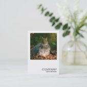 Carte De Visite Photo carré 0355 - Écureuil gris (Debout devant)