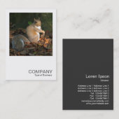 Carte De Visite Photo carré 0364 - Écureuil gris (Devant / Derrière)