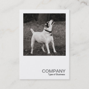 Carte De Visite Photo carré 0368 - Chien