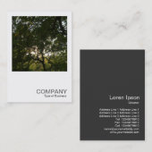 Carte De Visite Photo carré 0375 - Branches japonaises (Devant / Derrière)