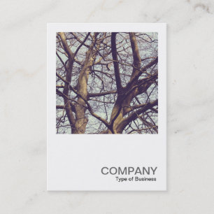 Carte De Visite Photo carré 0381 - Branches (couleur Vintage)