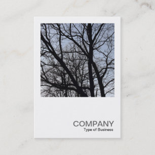 Carte De Visite Photo carré 0382 - Branches en silhouette
