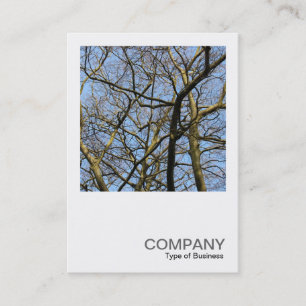 Carte De Visite Photo carré 0384 - Branches